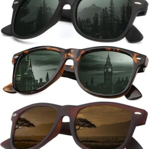 KALIYADI Polarized Sunglasses 3-Pack